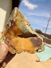 1 5  Lbs Picture Jasper Rough - Owyhee Lapidary Or Display