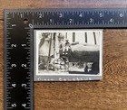 Egyptian Colossus Tourists On Statue Small Original Vintage Photo