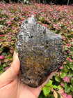 Seymchan Pallasite Meteorite End-cut Etched Perfect Fusion Crust 648grams