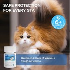50 Count Cat Dewormer Praziquantel Tablets For Cats   Kittens New Packaging