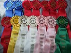California West Coast Pony Club Horse Show Ribbons Awards Equestrian Events