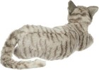 New Hansa Cat Gray Plush Bh7198 37cm Realistic Stuffed Animal Japan Import