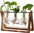 Plant Terrarium With Wooden Stand  Bulb Glass Vase Swivel Holder Retro Tabletop 