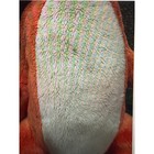 Disney Tigger Plush Winnie The Pooh Stuffed Animal Orange Just Play 15 5 Inch