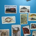 Lot Of 12 Scarce rare Back Cards  uncommon  Tobacco cigarette Cards