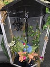 Hanging Black   Clear Glass metal Lantern Candle Holder Floral Nature 16in