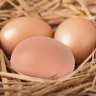 20  dummy Faux Fake Chicken Eggs Get Hens To Lay Eggs Poultry Mannequin Nest Eggs