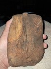 Stigmaria Root Plant Fossil   S4