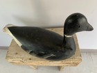 Bill Goenne Pacific Black Brant wood hunting