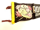 Old Rolling Green Park  Sunbury  Pa Amusement Park Souvenir Felt Pennant