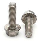 Flange Bolts Serrated Hex Flange Bolts 18-8 Stainless Steel  10-24 Select Length