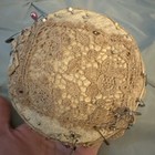 Antique Victorian Lace Pin Cushion Sewing Room Decor 