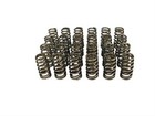 Comp Cams 26113-24 Beehive Valve Springs For Ford 4 6l 5 4l 3 Valve F150 Mustang