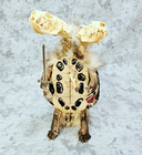 Real Turtle Taxidermy Gaff Snake Reptile Lizard Mink Skull Bone