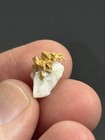 Natural Gold On Quartz Specimen  2 13g      El Dorado Ca     Elevated Native Gold