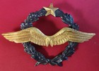 French Pilot Award  Super Condition  Rarity 