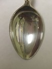 San Diego Zoo Vintage Souvenir Spoon Collectible