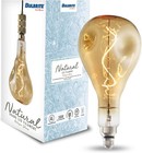 G  r  nd N  ost  lgic Natural Collection Droplet 4w Led Oversized B  ulb_ships Usa