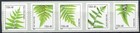Ferns 49 Cent Type Pnc5 Plate C11111 Scott s 4848 4849 4850 4851   4852
