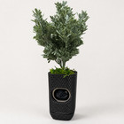 Aqara Indoor Security Camera G350 - Woven Pot Decorative Housing
