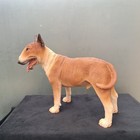 Veronese English Bull Terrier Ornament 2000s 7 Inches Approx  White   Tan Colour