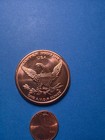 1 Oz Copper Round  Grizzly Bear Design  New Copper Coin In Sealed Case