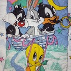 1993 Vintage Warner Bros Looney Tunes Baby Reversible Blanket Gerber Bugs Bunny
