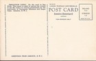 Jamaica  British West Indies - Bog Wall - 1938