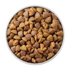 Purina One Smartblend Natural Dry Dog Food With Chicken   Rice