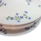 Havilland Limoges Rare Antique 1900s Covered Porcelain Serving Set 5 Pieces