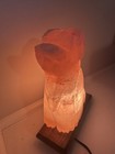 Pink Himalayan Salt Lamp - Dog Shape - Carved Rock Crystal - Wood Base