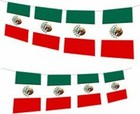 10 20 50 100 Metre s Bandera De Mexico Cinco De Mayo Mexican Flag Bunting