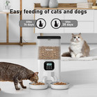 Cat Dog Auto Feeder Pet Food Automatic Feeding Dish Bowl Pet Automatic Bowl