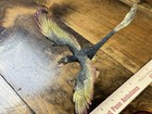 Majestic Black And Gold Microraptor Dinosaur Model