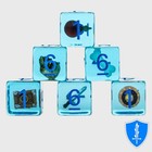 Gelatimous Cube Inclusion Dice - Set Of 6 D6s - Fanroll D d Rpg