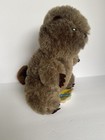 Dakin Nature Babies Benny Beaver Plush 1979 Vintage Stuffed Animal Toy