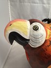 Parrot Bird Feeder Hand Carved Wooden Handmade Hand Painted Hanging Decoration