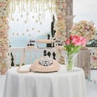 Audio Guest Book Phone - Record Custom Voice Messages For Wedding birthday party