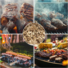 420g Apple Wood Chips For Smoker - Wood Smoker Chips Smoking Wood Chips Flavors