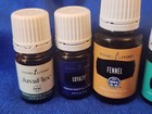 Young Living Essential Oils Lot Of 6  5ml   15ml Bottles Unopened - New