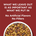 Purina Dog Chow Complete Adult Dry Dog Food Kibble Beef Flavor 18 5 Lb Bag