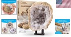 Exciting Stem Kit  5 Jumbo Geodes With Crystals   Complete Learning Experience
