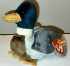 Ty Beanie Baby Jake The 1997 Mallard Duck 8  New Mwmts Plush Stuffed Animal Toy