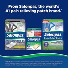 Salonpas Pain Relieving Patch  8-hour Pain Relief  20 Patches