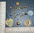 Lot Of 13 Loom Loyal Order Of Moose Items  Pins  Fob  Pendant  Coin H848