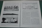 1932 Shark Fishing In  Australia Magazine Article  Info  Photos