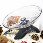 Exercise Wheel For Hermit Crabs  Geckos  And Small Animals