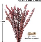 12pcs Dried Red Eucalyptus Stems 17  Natural 12pcs  