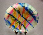 New Disc Golf Innova Champion Leopard-170 Custom Print  -i Dye