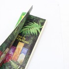 This Week On Kauai Including Kauai Map April 12-18 1978 Travel Brochure Vtg